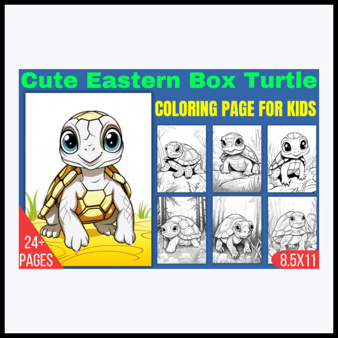 Cute Eastern Box Turtle Coloring Page – Digital Cloud